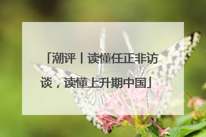 潮评丨读懂任正非访谈，读懂上升期中国