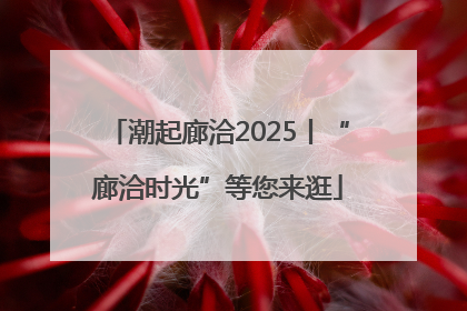 潮起廊洽2025丨“廊洽时光”等您来逛