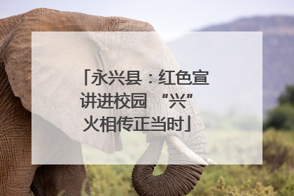 永兴县：红色宣讲进校园 “兴”火相传正当时