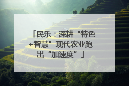 民乐：深耕“特色+智慧”现代农业跑出“加速度”