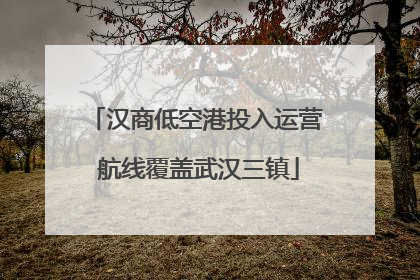 汉商低空港投入运营 航线覆盖武汉三镇