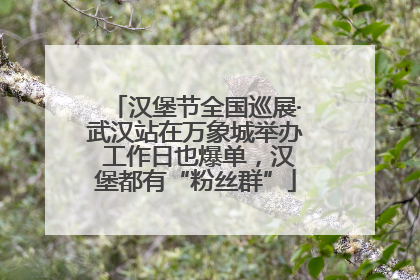 汉堡节全国巡展·武汉站在万象城举办 工作日也爆单，汉堡都有“粉丝群”
