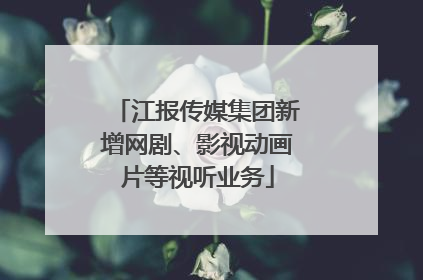 江报传媒集团新增网剧、影视动画片等视听业务