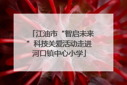 江油市“智启未来”科技关爱活动走进河口镇中心小学