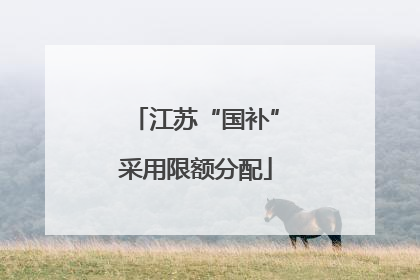 江苏“国补”采用限额分配