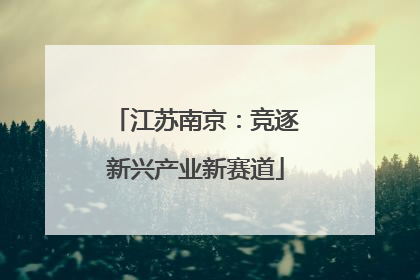 江苏南京：竞逐新兴产业新赛道
