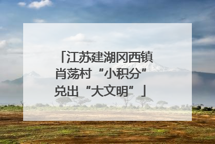 江苏建湖冈西镇肖荡村“小积分”兑出“大文明”