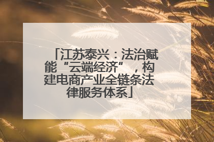 江苏泰兴：法治赋能“云端经济”，构建电商产业全链条法律服务体系