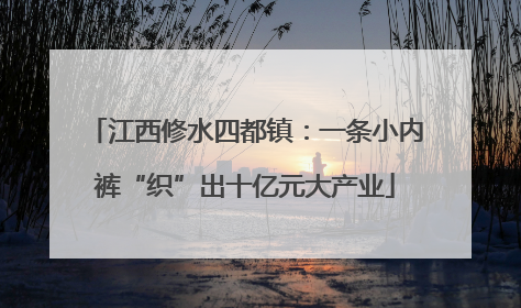 江西修水四都镇：一条小内裤“织”出十亿元大产业
