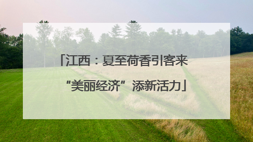 江西：夏至荷香引客来 “美丽经济”添新活力