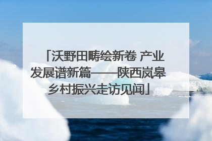 沃野田畴绘新卷 产业发展谱新篇——陕西岚皋乡村振兴走访见闻