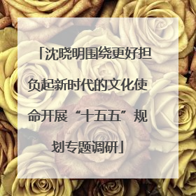 沈晓明围绕更好担负起新时代的文化使命开展“十五五”规划专题调研