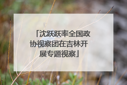沈跃跃率全国政协视察团在吉林开展专题视察
