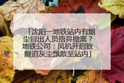沈阳一地铁站内有烟尘冒出人员捂鼻撤离？地铁公司：风机开启致隧道灰尘飘散至站内