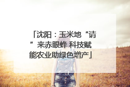 沈阳：玉米地“请”来赤眼蜂 科技赋能农业助绿色增产