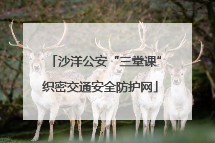 沙洋公安“三堂课”织密交通安全防护网