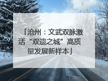 沧州：文武双脉激活“双遗之城”高质量发展新样本