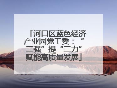 河口区蓝色经济产业园党工委：“三强”提“三力”赋能高质量发展