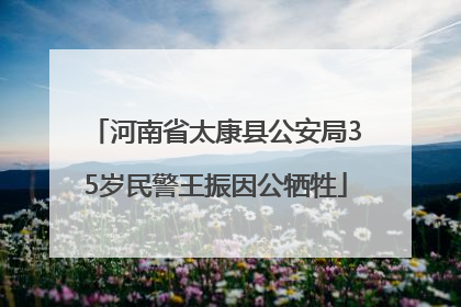 河南省太康县公安局35岁民警王振因公牺牲