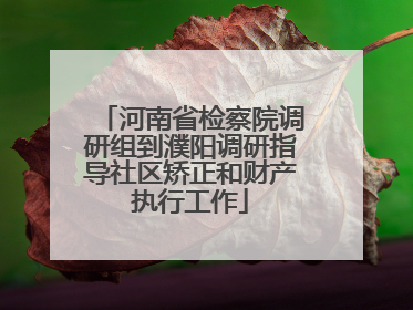 河南省检察院调研组到濮阳调研指导社区矫正和财产执行工作