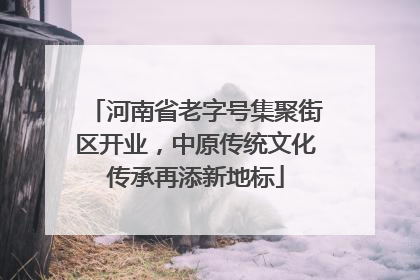 河南省老字号集聚街区开业，中原传统文化传承再添新地标