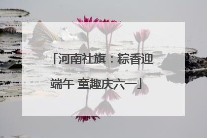 河南社旗：粽香迎端午 童趣庆六一