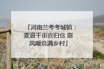 河南兰考考城镇：麦浪千重喜归仓 惠风暖意满乡村