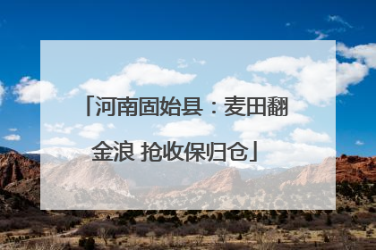 河南固始县：麦田翻金浪 抢收保归仓