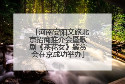 河南安阳文旅北京招商推介会暨歌剧《茶花女》鉴赏会在京成功举办