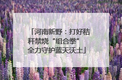 河南新野：打好秸秆禁烧“组合拳” 全力守护蓝天沃土