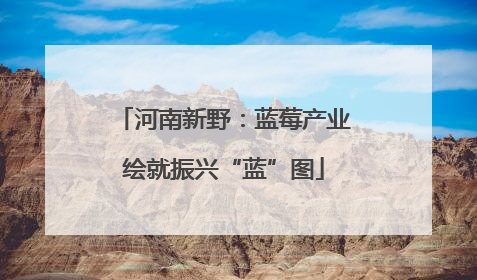 河南新野：蓝莓产业绘就振兴“蓝”图