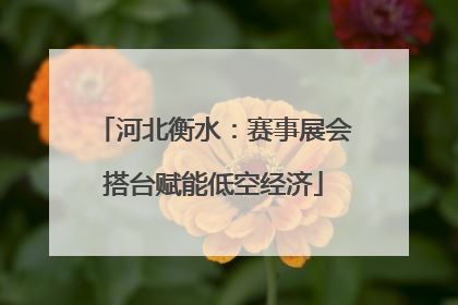 河北衡水：赛事展会搭台赋能低空经济