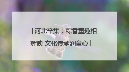 河北辛集：粽香童趣相辉映 文化传承润童心