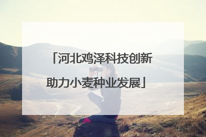 河北鸡泽科技创新助力小麦种业发展