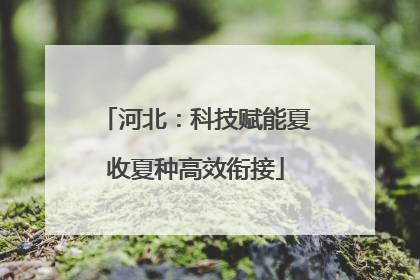 河北：科技赋能夏收夏种高效衔接