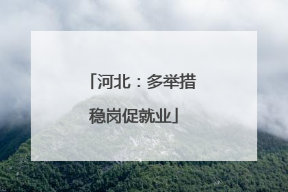河北：多举措稳岗促就业