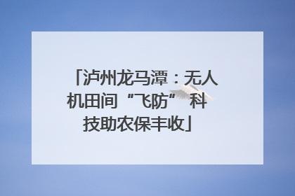 泸州龙马潭：无人机田间“飞防” 科技助农保丰收