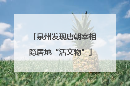 泉州发现唐朝宰相隐居地“活文物”