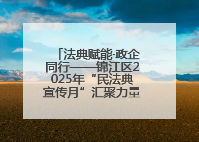 法典赋能·政企同行——锦江区2025年“民法典宣传月”汇聚力量 助推企业发展