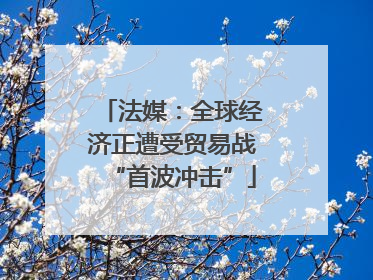 法媒：全球经济正遭受贸易战“首波冲击”