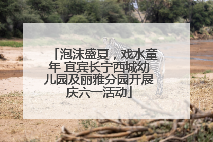 泡沫盛夏，戏水童年 宜宾长宁西城幼儿园及丽雅分园开展庆六一活动