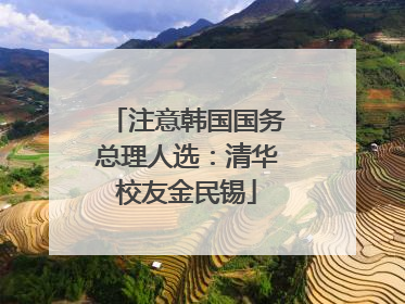 注意韩国国务总理人选：清华校友金民锡