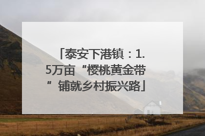 泰安下港镇：1.5万亩“樱桃黄金带”铺就乡村振兴路