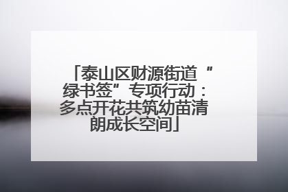 泰山区财源街道“绿书签”专项行动：多点开花共筑幼苗清朗成长空间