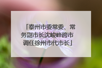 泰州市委常委、常务副市长沈峻峰跨市调任徐州市代市长