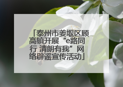 泰州市姜堰区顾高镇开展“e路同行 清朗有我”网络辟谣宣传活动