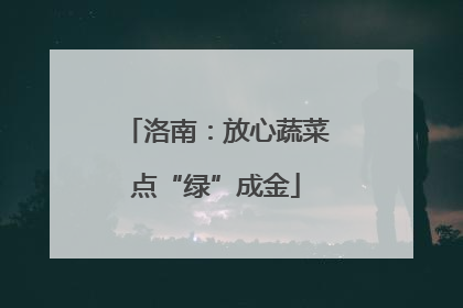 洛南：放心蔬菜点“绿”成金