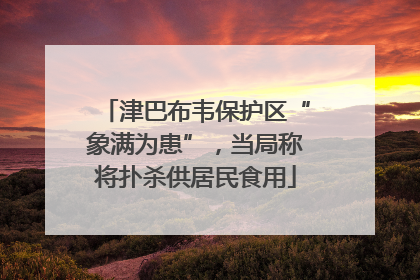 津巴布韦保护区“象满为患”，当局称将扑杀供居民食用