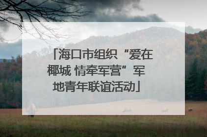 海口市组织“爱在椰城 情牵军营”军地青年联谊活动