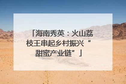 海南秀英：火山荔枝王串起乡村振兴“甜蜜产业链”